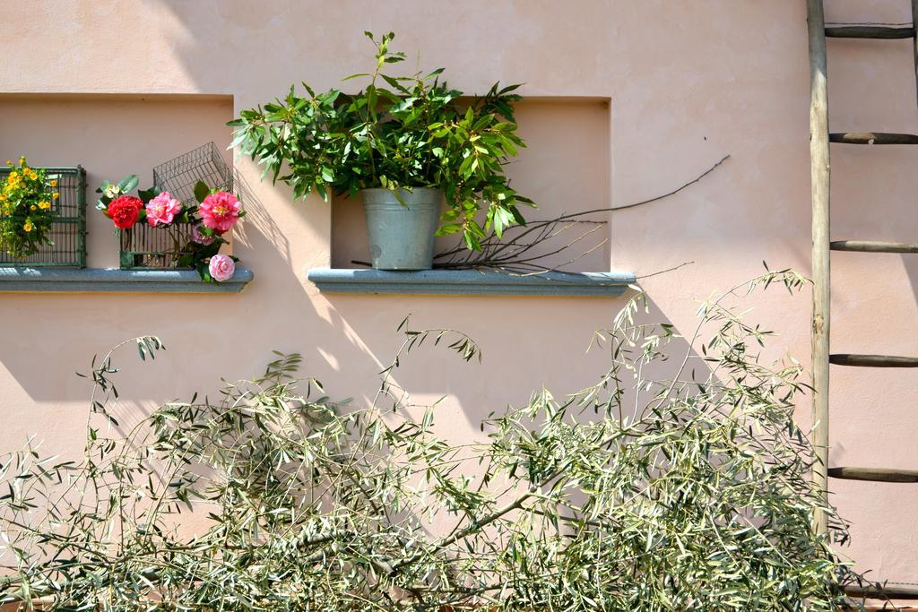 Monte A Pescia Exterior foto